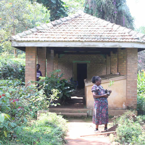 Entebbe Botanic Gardens